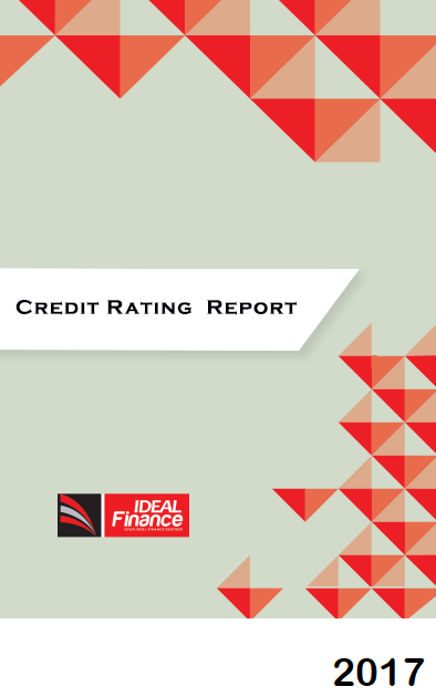 Credit Rating Reports