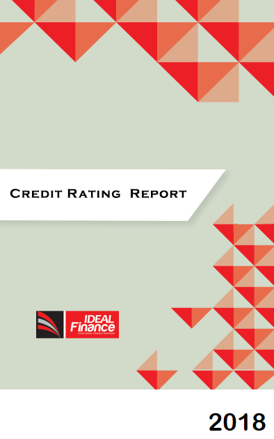 Credit Rating Reports